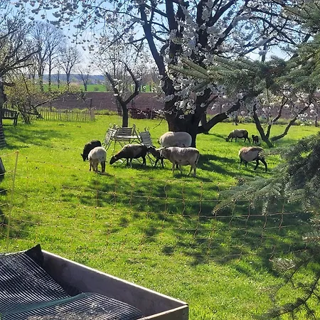 Seminar Und Lägenhet Schonbeck (Mecklenburg-Vorpommern)