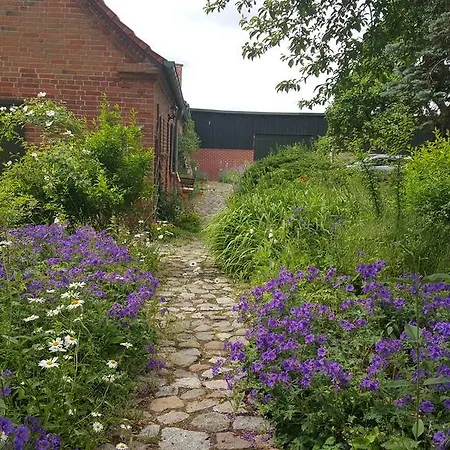 Lägenhet Seminar Und