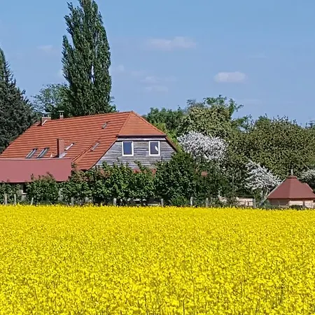 Lägenhet Seminar Und