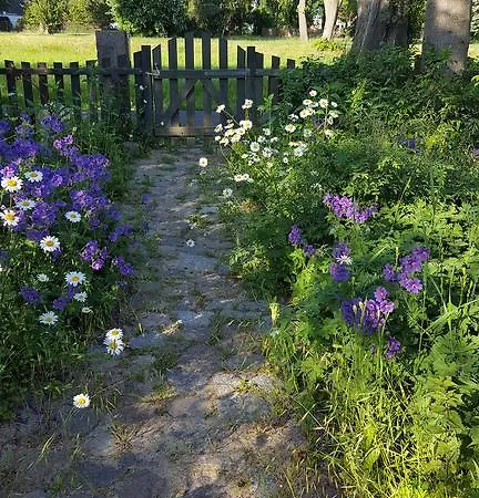 Seminar Und Lägenhet