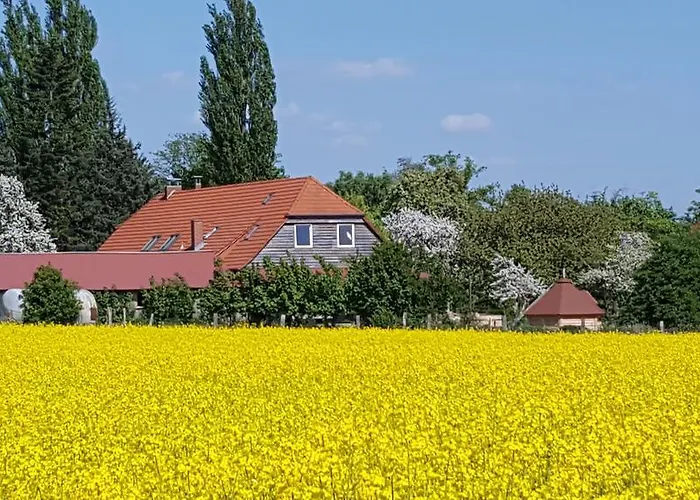 Lejlighed Seminar Und