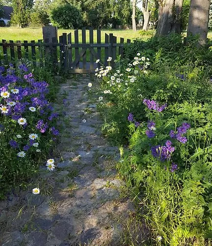 Seminar Und Lejlighed